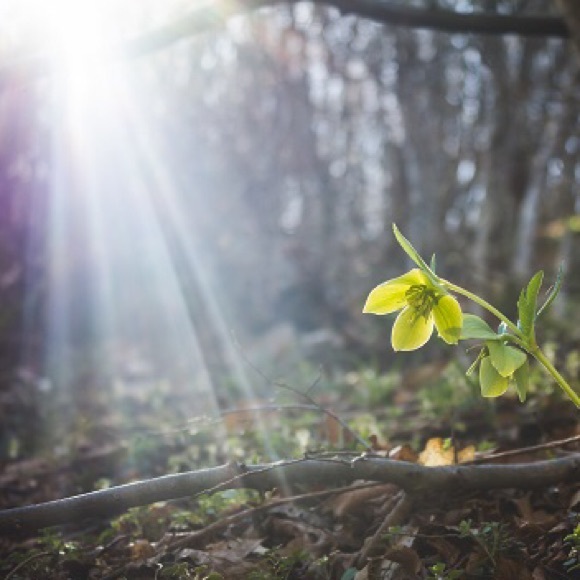 Read below ❤️ - Picture 1 of 1